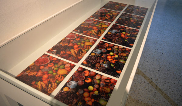Afección Turística / Material de Archivo / Instituto Departamental de Artes de Cali / 2017